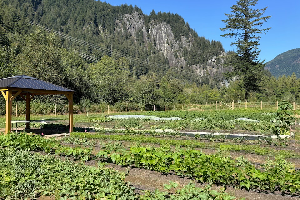 250606-aho-earthwise-garden