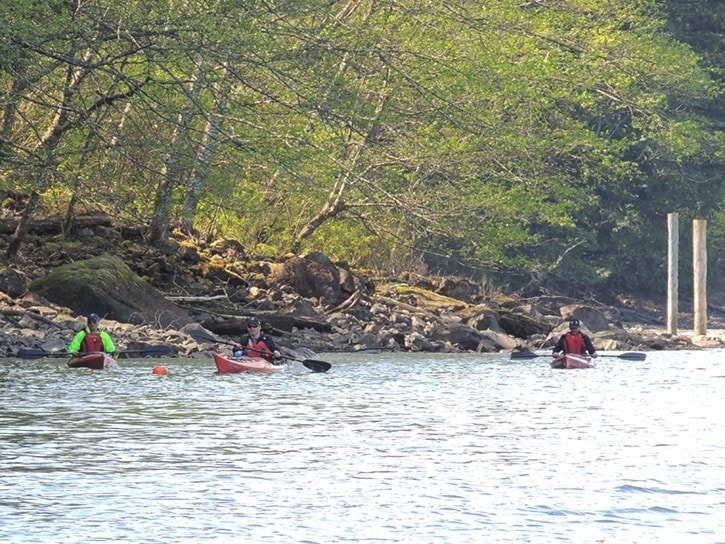 Kayakers paddle up the Harrison River April 18.