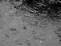 July driest month in the past year