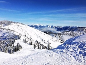 Sasquatch online mountain resort