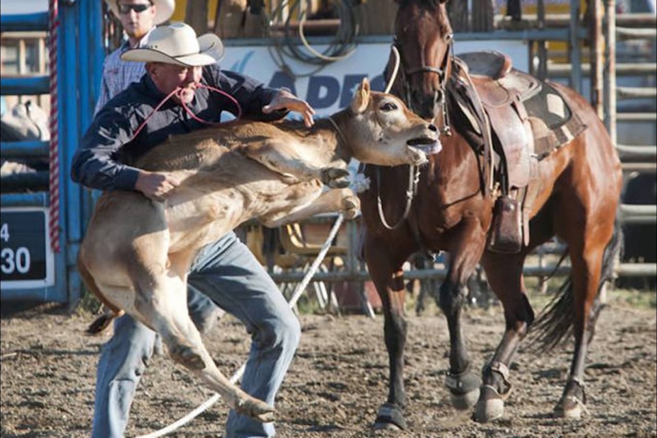 8567910_web1_20170919-KCN-M-7929187_web1_chilliwack_rodeo0101-e1501262584328