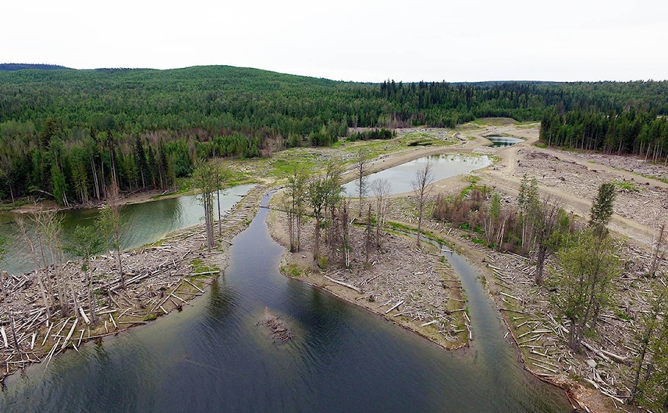 10051503_web1_180105-WLT-Mount-Polley-layoffs_1