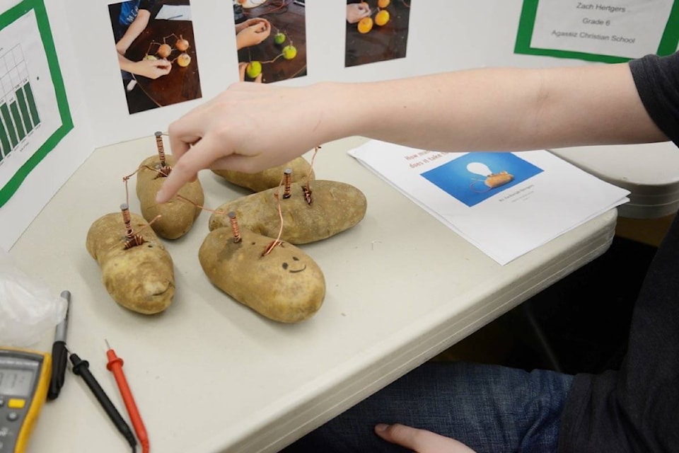 Zach Hertgers explains how his experiment uses potatoes to conduct electricity and power a light bulb at the Agassiz Christian School’s science fair Feb. 14. The grade six student tried the experiment with different types of fruits and vegetables, all of which lit the bulb. (Nina Grossman/The Observer)