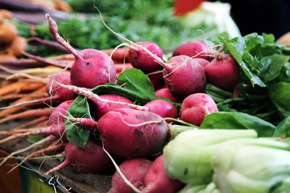 10797363_web1_180227-AHO-M-SEEDS
