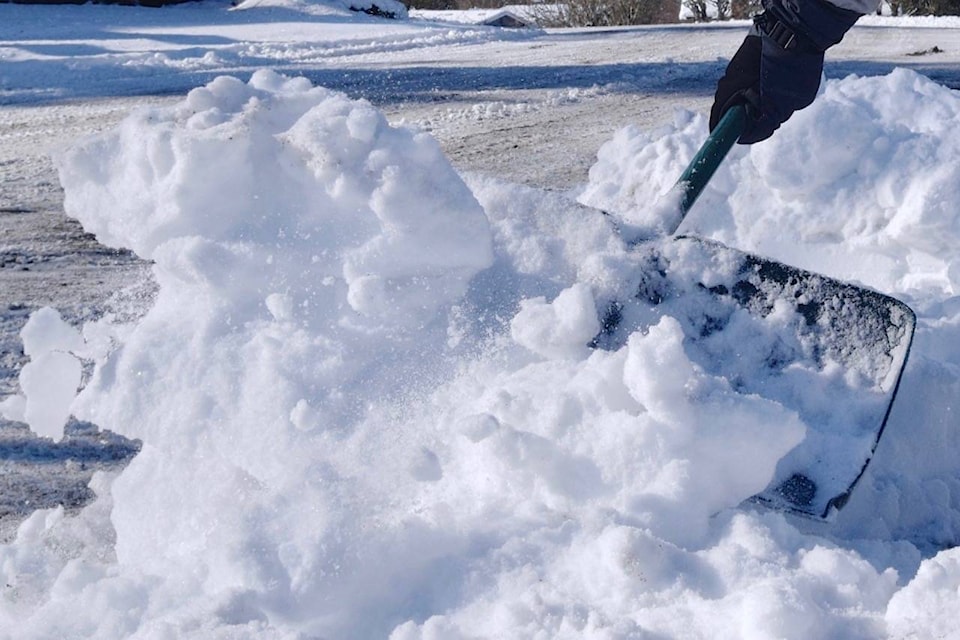 15561017_web1_T-snow-shovel