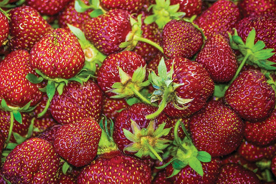 17255248_web1_strawberries