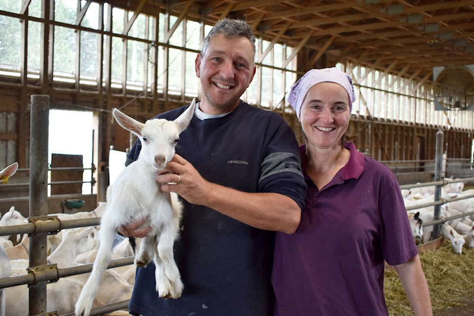 18454147_web1_190912-AHO-FALLFAIR-GoatMilking_1