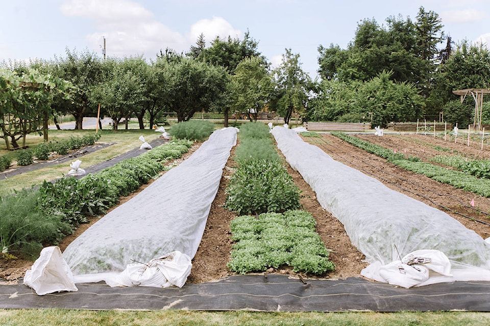 19540982_web1_field-house-garden