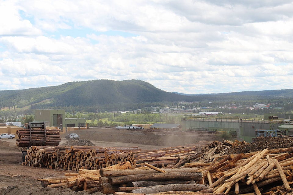 20816361_web1_200305-OMH-Forestry-PUSH-1_1