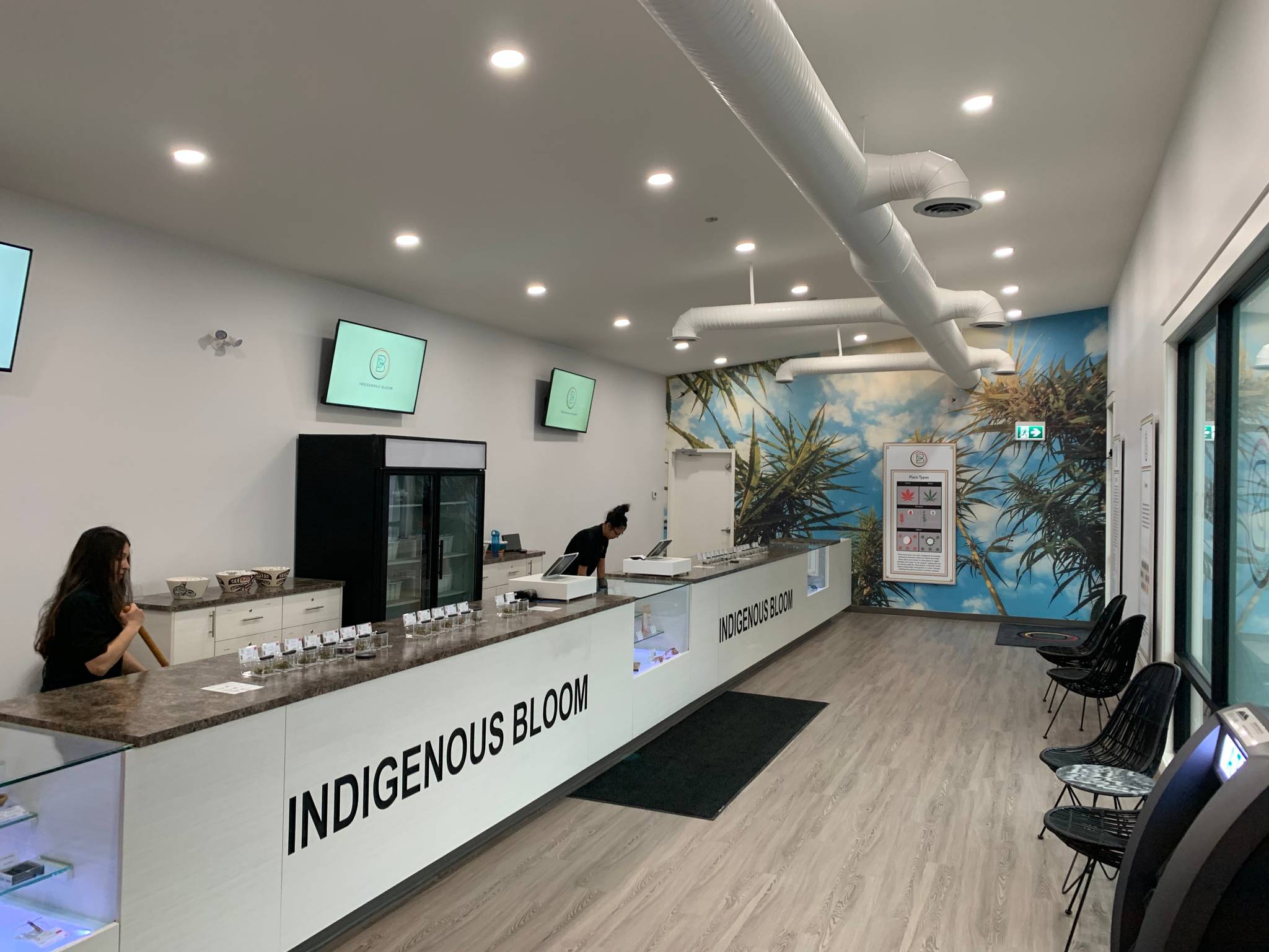 Desert Bloom Dispensary - f8ypahz
