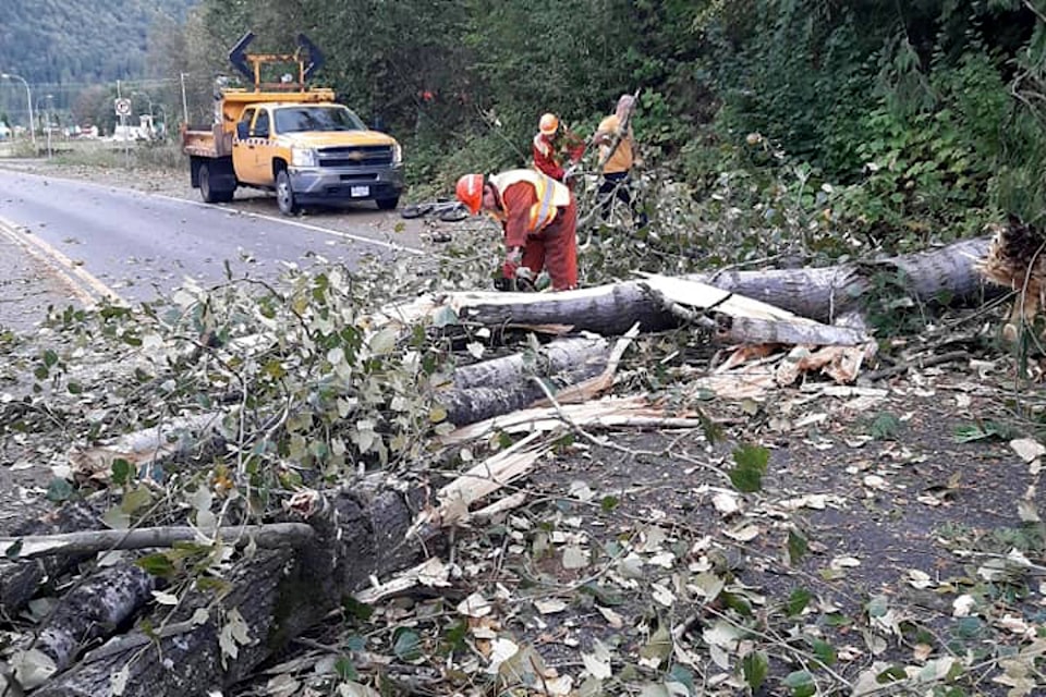 A clean-up crew of professionals and passers-by alike worked to clear the road near the Popkum roundabout. Photographer Ashley Vogt said she one vehicle away from the vehicle that couldn’t stop in time and ended up being lodged in the tree. Vogt and other motorists were moved by the selfless efforts. (Contributed photo/Ashley Vogt)