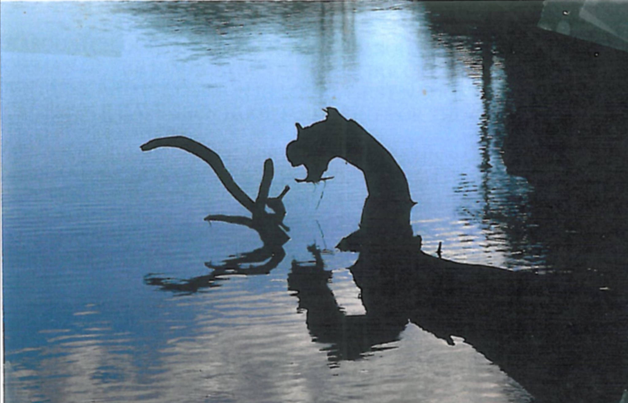 PHOTO: Harrison's own Ogopogo? - Agassiz-Harrison Observer