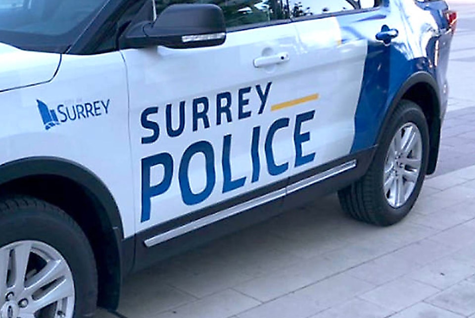 24465603_web1_210311-SUL-SurreyPolice-inspectors-hired-KEYWOs_1