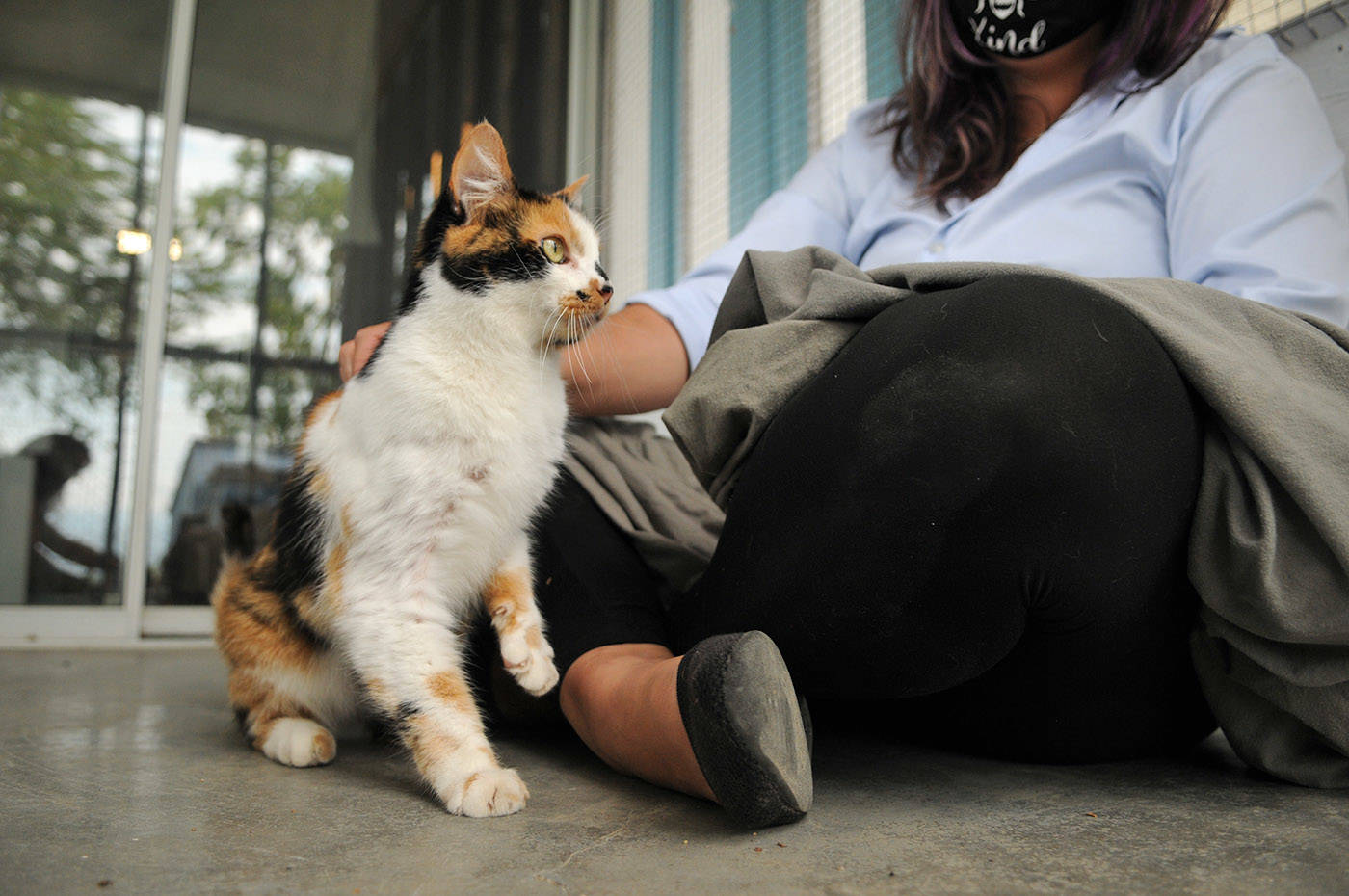 Four-year-old Ginger at the Chilliwack SPCA on Thursday, July 8, 2021. (Jenna Hauck/ Chilliwack Progress)