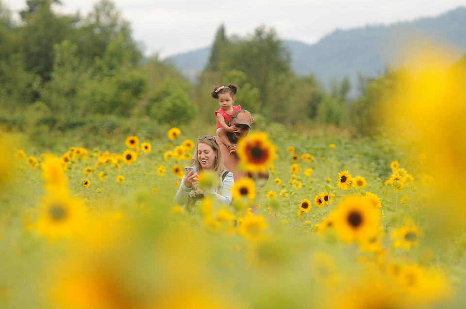 25855874_web1_210716-CPL-Cultus-Lake-Flower-Fest-2021_3