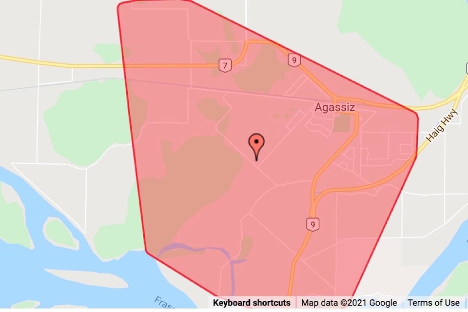 Powerwas knocked out for more than 1,600 residents in the Agassiz area after a tree fell across power lines on Saturday (Oct. 30) morning. (Screenshot/BC Hydro)