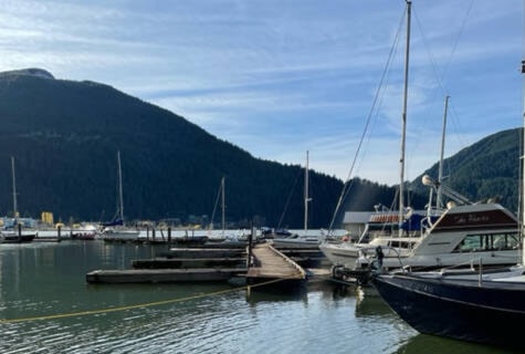 A dock system housing about a dozen boats drifts onto Harrison Lake as locals work to repair the damage from the recent torrential rain. (Dani Kent/Observer)