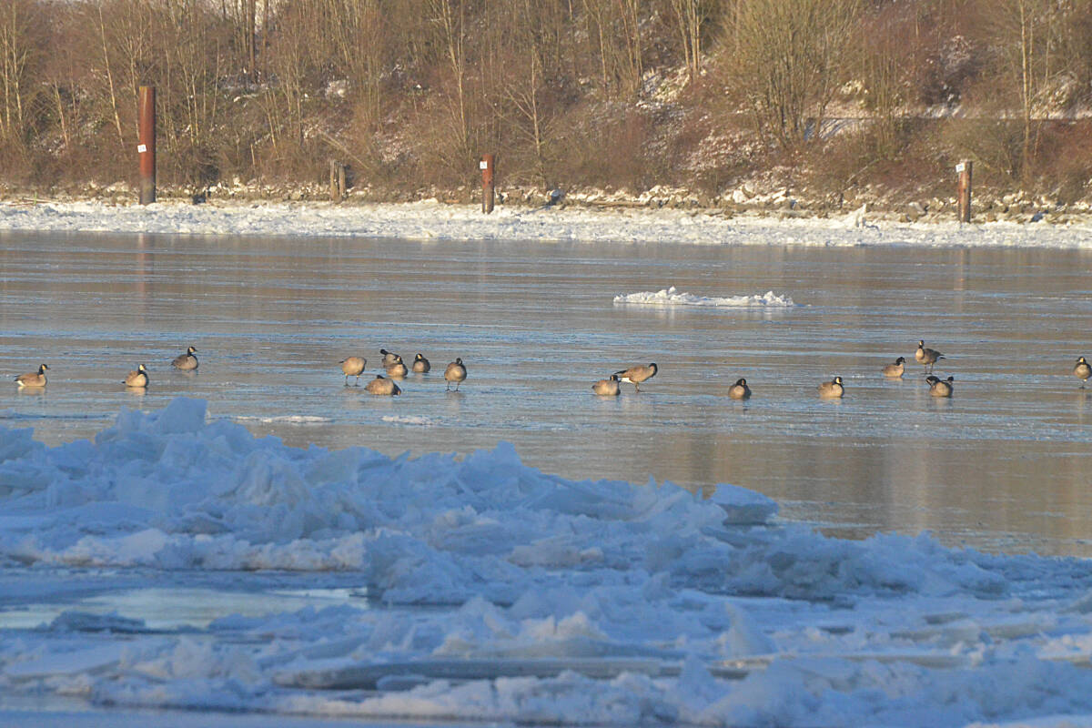 27674064_web1_211229-LAT-IceFraserDerby1