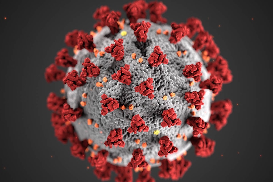 27833113_web1_Coronavirus_3D_illustration_by_CDC_1600x900