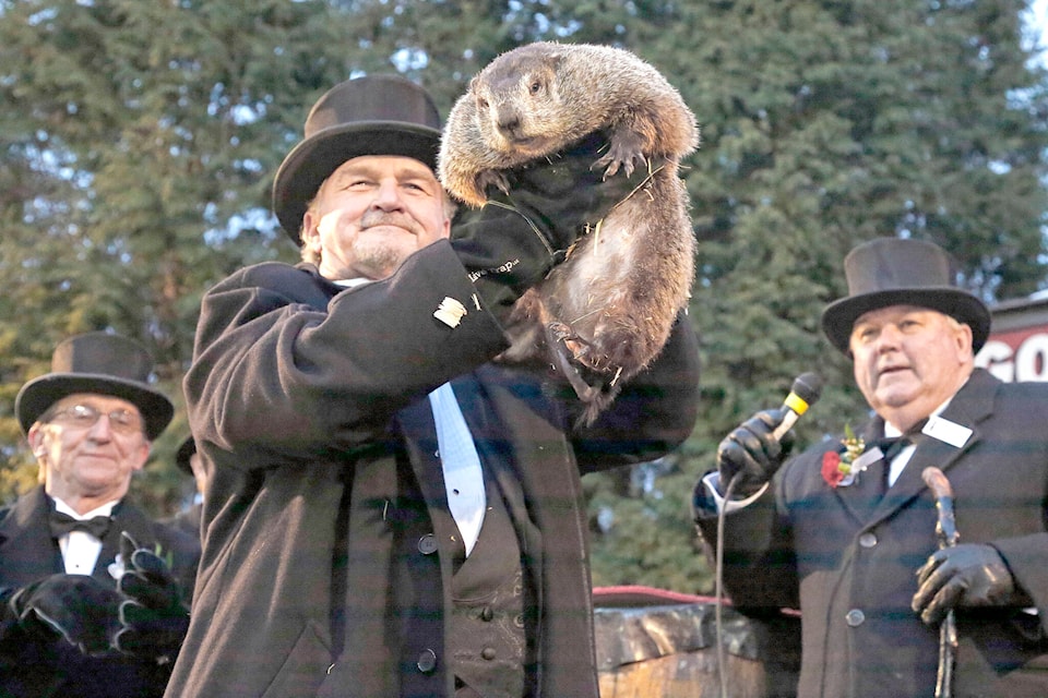 28049607_web1_groundhog