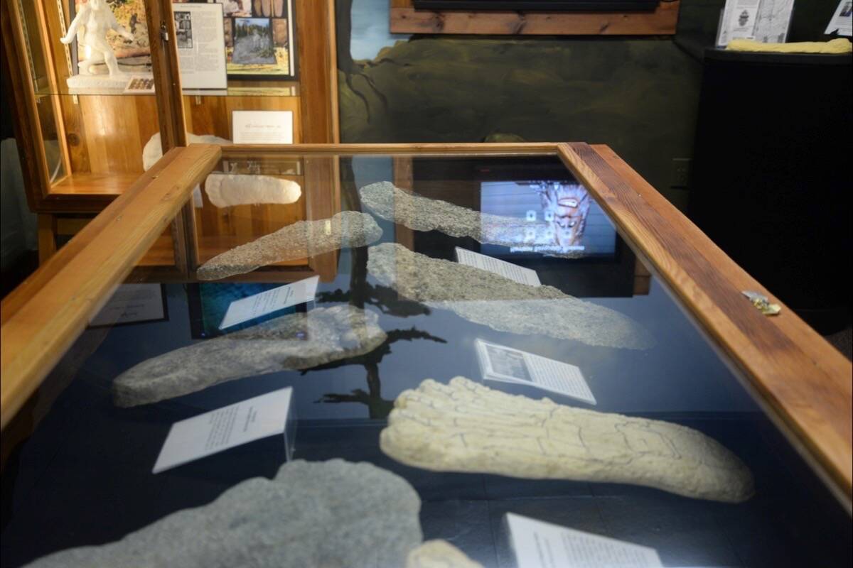 A collection of Sasquatch footprints is on display at the Harrison Sasquatch Museum. (File photo)