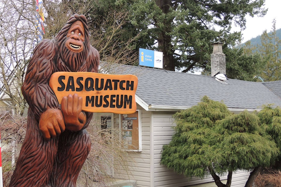 A friendly Sasquatch greets visitors outside the Harrison Hot Springs Visitor Centre and Sasquatch Museum. The building will soon be replaced with a new, bigger space thanks to a grant from the provincial government. (Adam Louis/Observer)