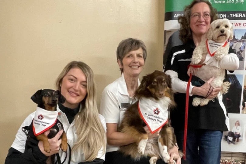 29326467_web1_220602-ABB-TherapyDogs-dogs_1