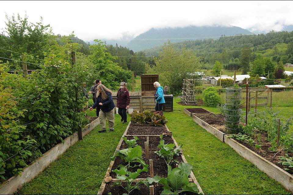 Angela Moore (left) shows visitors around her farm during the Ryder Lake Ramble on Saturday, June 18, 2022. (Jenna Hauck/ Chilliwack Progress)