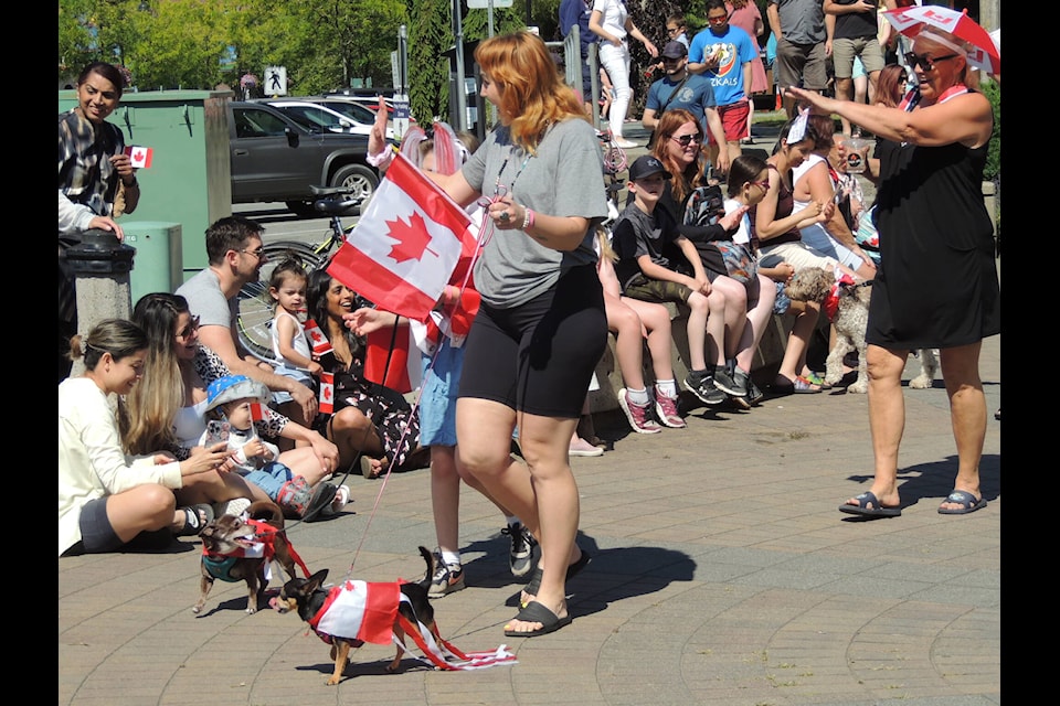 Harrison’s pet parade on Canada Day is always a hit. (Adam Louis/Observer)