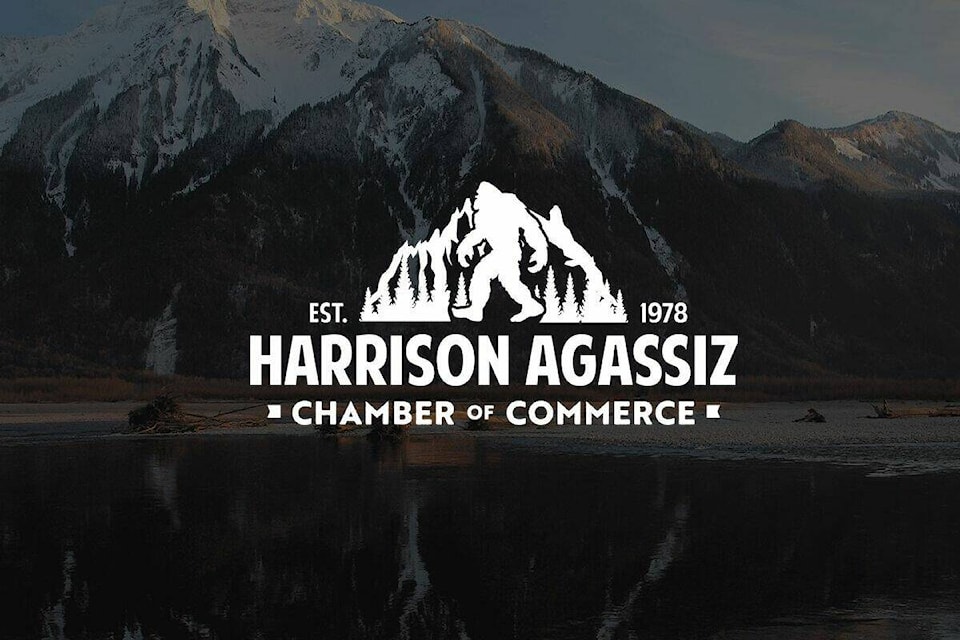 The Harrison-Agassiz Chamber of Commerce recently released their new branding, which incorporates recognizable characteristics from the community. (Graphics/Octopus Creative)