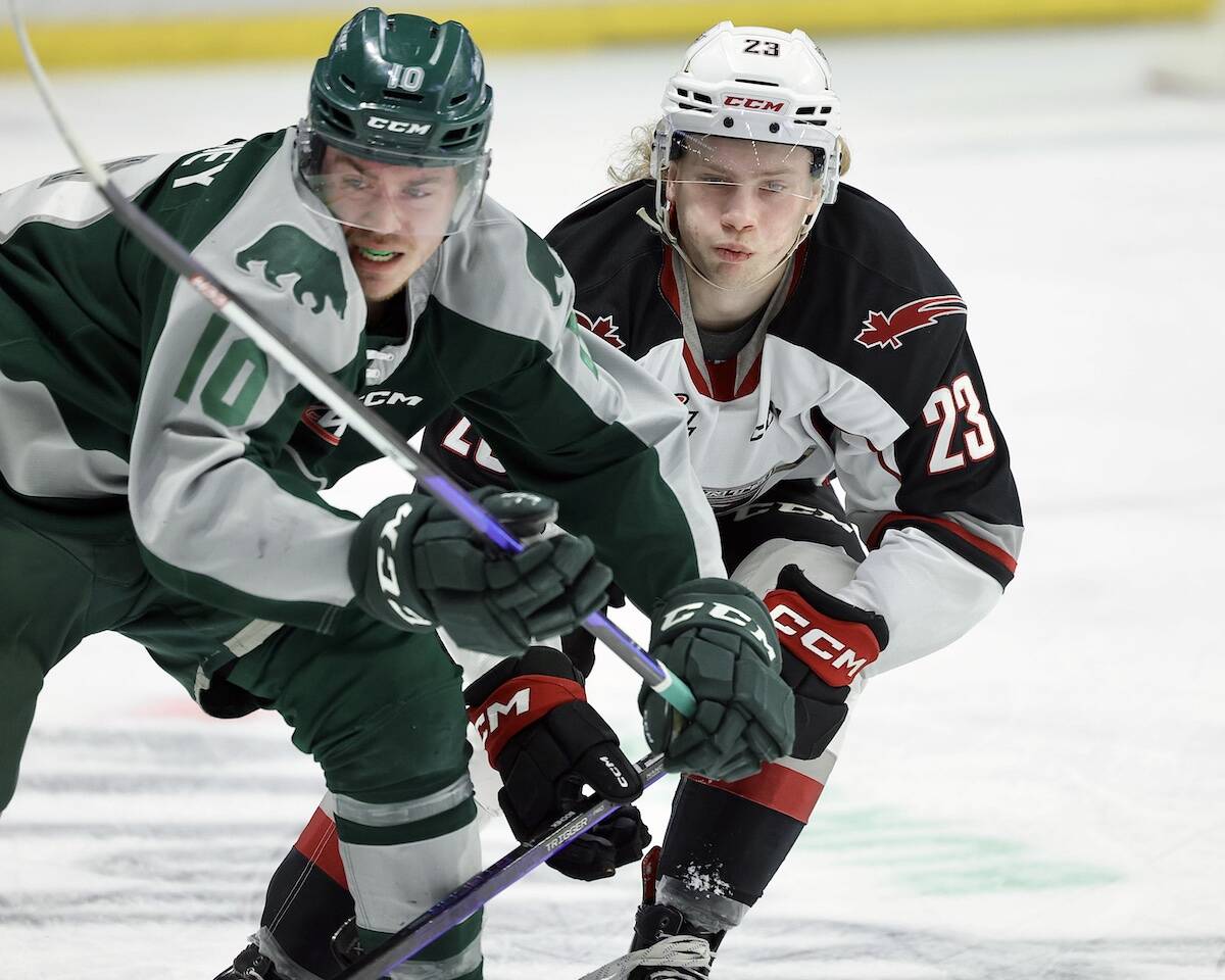 Giants forward Kyle Bochek in action against the Everett Silvertips Saturday, Feb. 25 at Langley Events Centre. Silvertips won 3-1. (Rob Wilton/Special to Langley Advance Times)