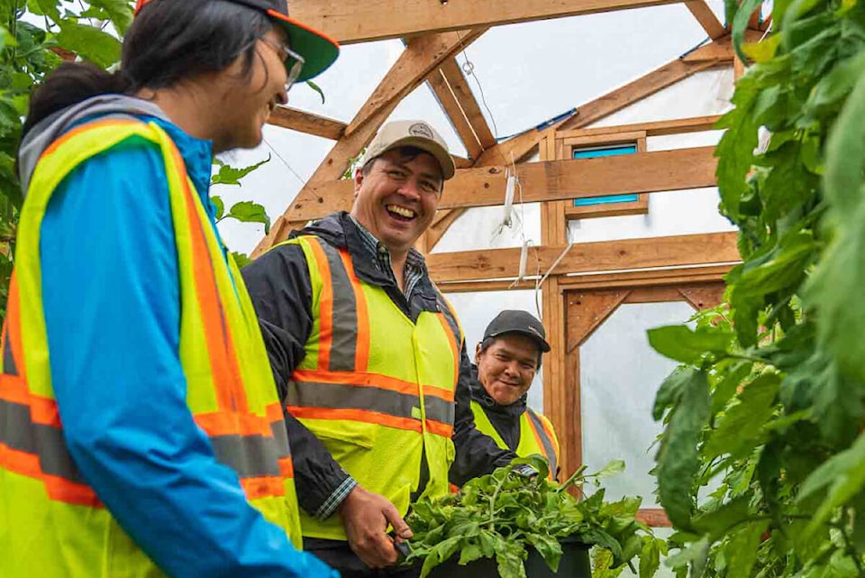32345757_web1_230401-BPD-HARVEST-Tea-Creek-Indigenous-Food-Tea-Creek-Jason-Beaton_1