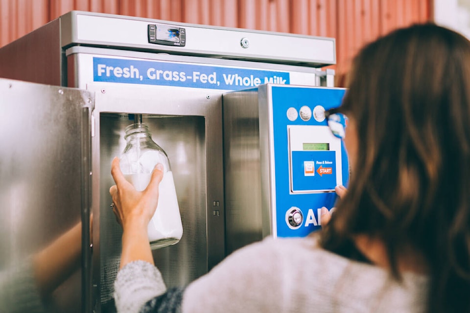 Little Qualicum Cheeseworks in Parksville, B.C., has Canada’s first milk tap. (Photo by Katie Friess)