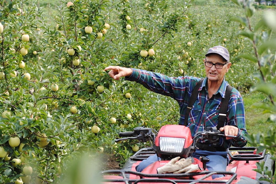 Bob Davison has been farming since his teen years. Now in his 90s, he still works on the farm. His favourite apple is the Aurora. (Photo by Leah Campbell)