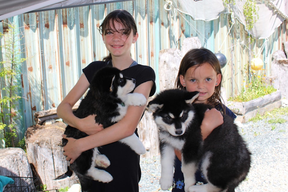 Annika Bontegelok, 12, and Hailey Minions, 8, cuddle two husky puppies that were being fostered by Furever Endeavour Rescue Network.