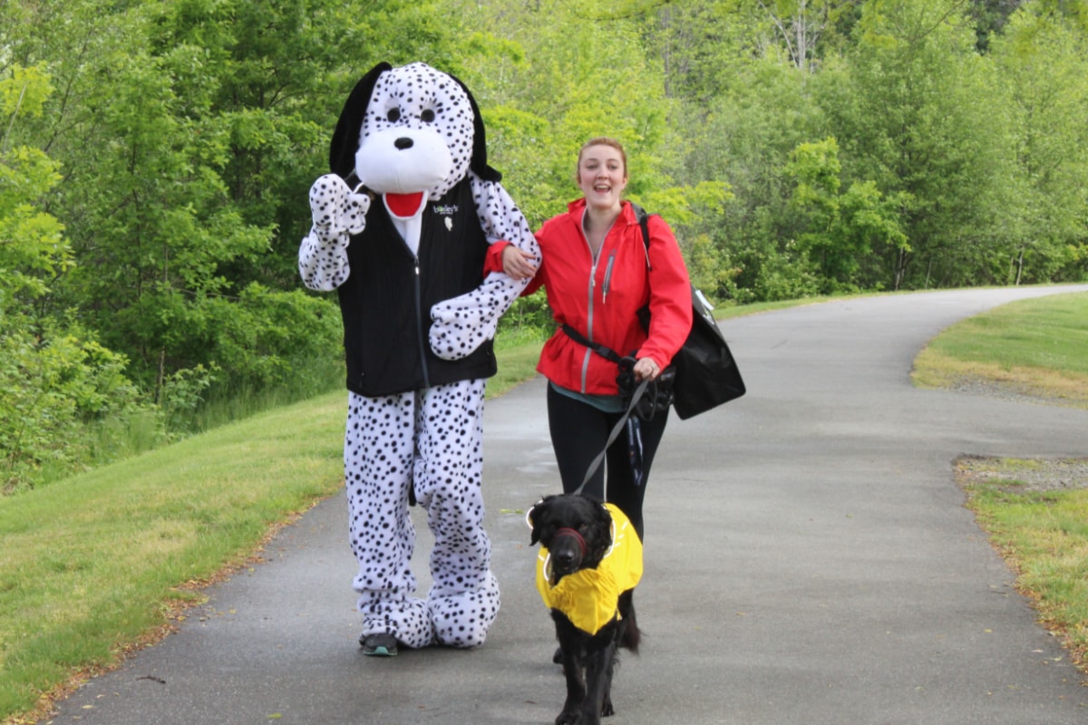 Walk for Dog Guides raises more than ,000 in Port Alberni
