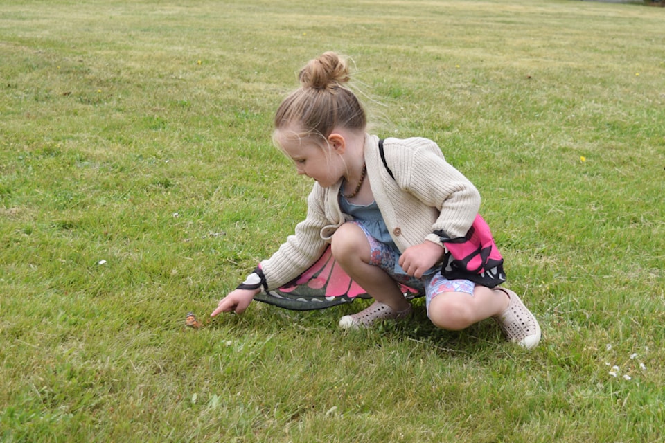 Evelyn Steinbach reaches out to touch a butterfly during the Butterfly Effect at 11th Avenue Park on Saturday, June 22.