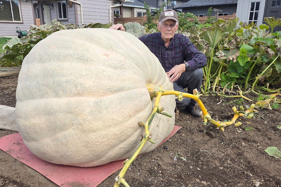 Jake Van Kooten with his giant pumpkin in his garden in Port Alberni.