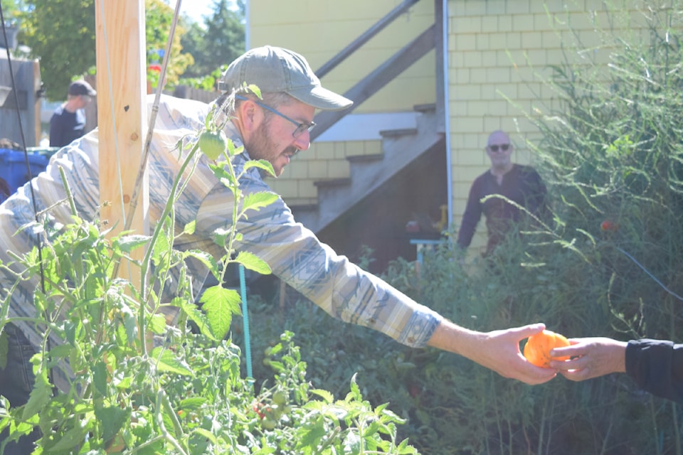 Dave Reid of the Quackyard passes a tomato to a visitor during Family Farms Day on Sunday, Sept. 15.