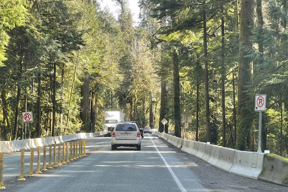 "No parking" barriers have been installed along Highway 4 in Cathedral Grove.
