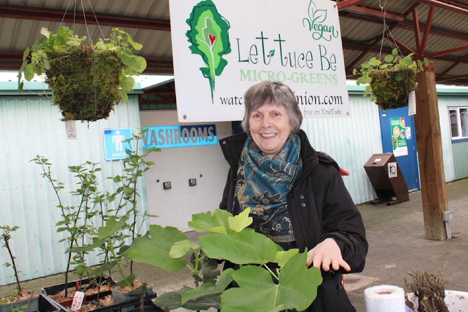 At Spirit Square Nancy Roussel of Let-tuce Be had a wonderful selection of starter plants that included various lettuce. 