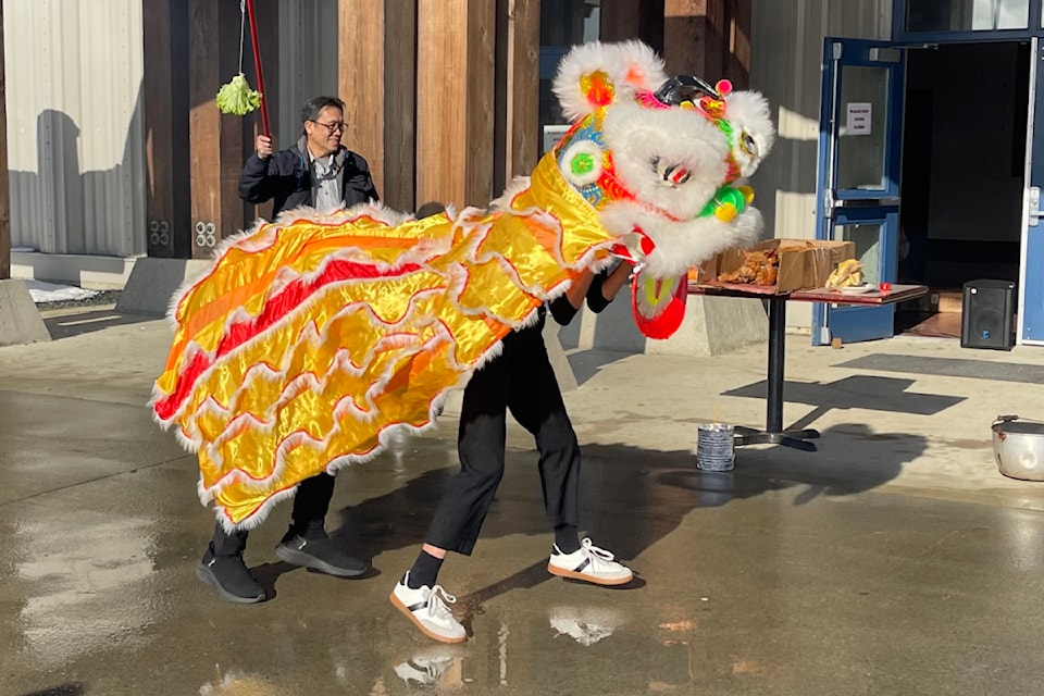 The Lion Dance opens Lunar New Year celebrations in Port Alberni on Feb. 2, 2025. The lion will try to "eat" the lettuce and then expel it at those gathered as a symbol of wishing them wealth and prosperity for the new year. 