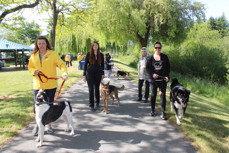 250611-avn-dog-guide-walk-11june2025_7589
