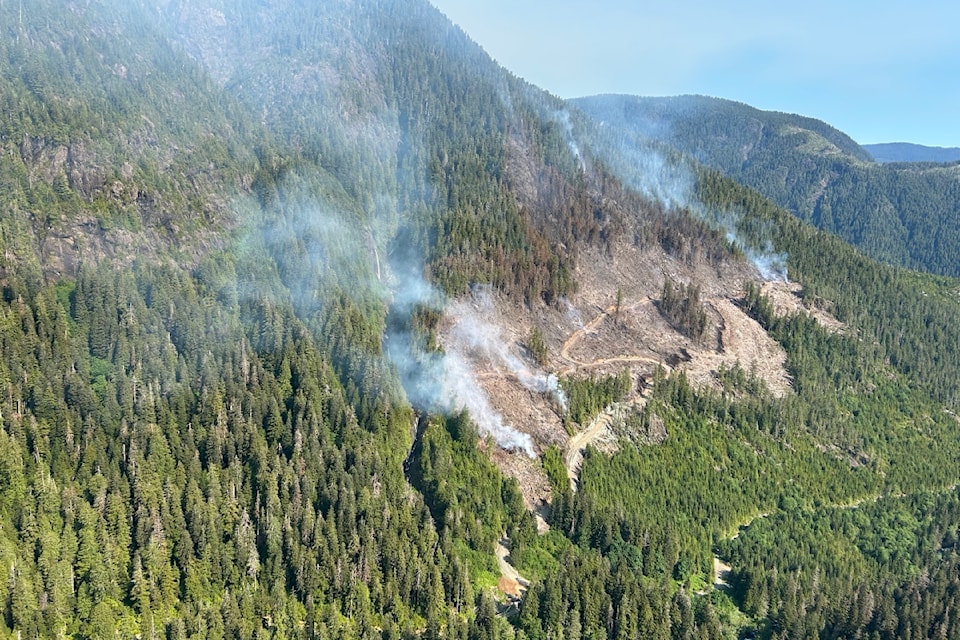 An aerial photo of the Nahmint Mountain fire, taken June 9, 2025, shows the out-of-control fire has grown to 23.5 hectares from its original 10 hectares. (BCWS PHOTO)