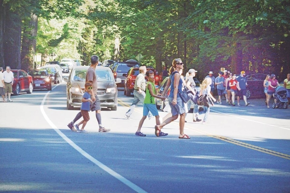 cathedral-grove