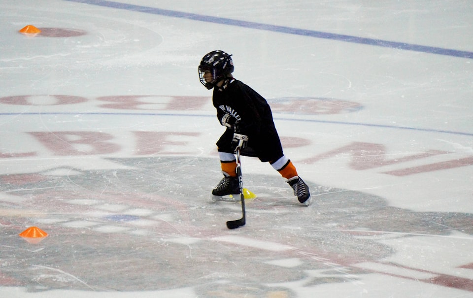 8121095_web1_BDogs-development-camps-02