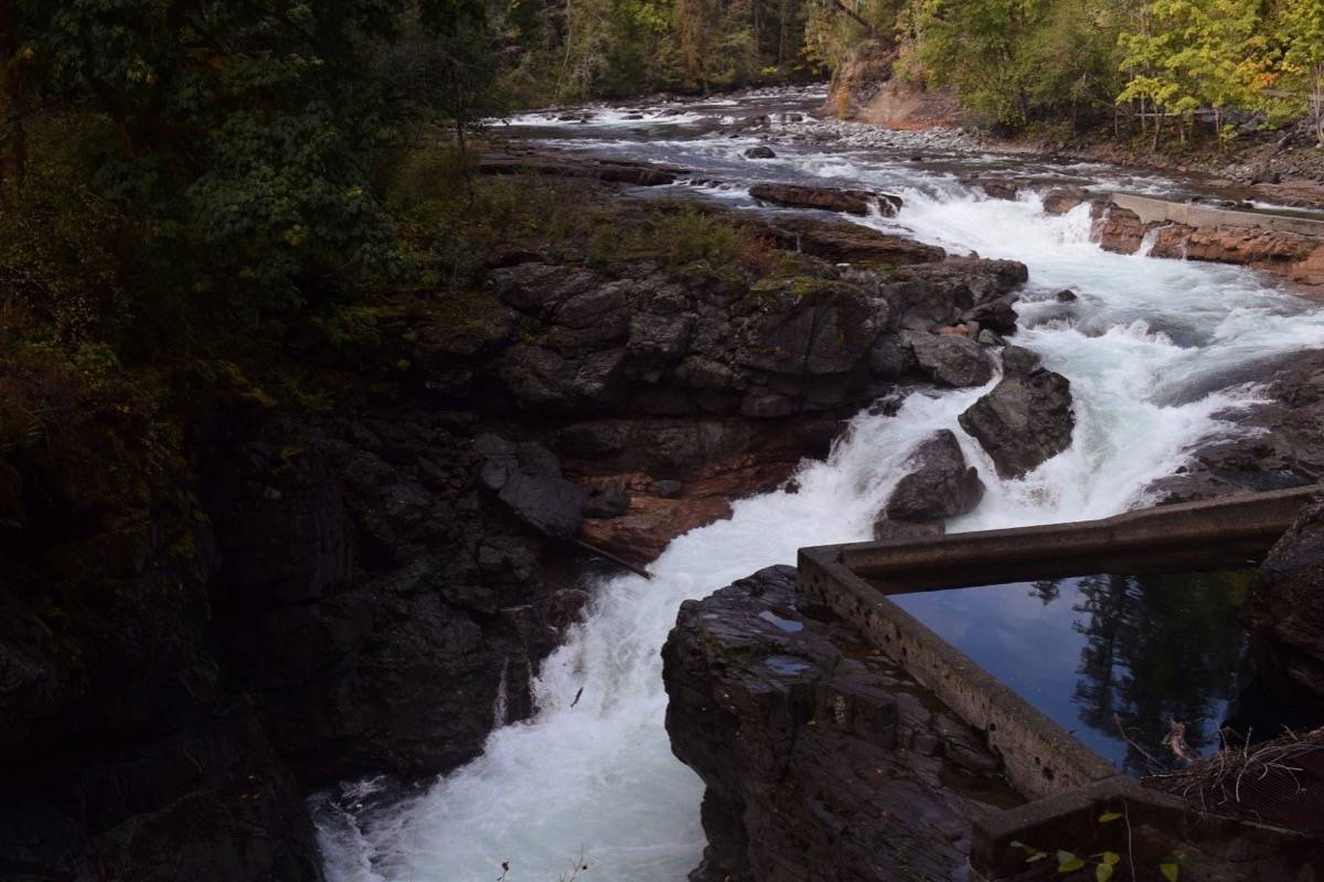 Stamp falls, Port Alberni. The end show the salmon on the salmon cam!