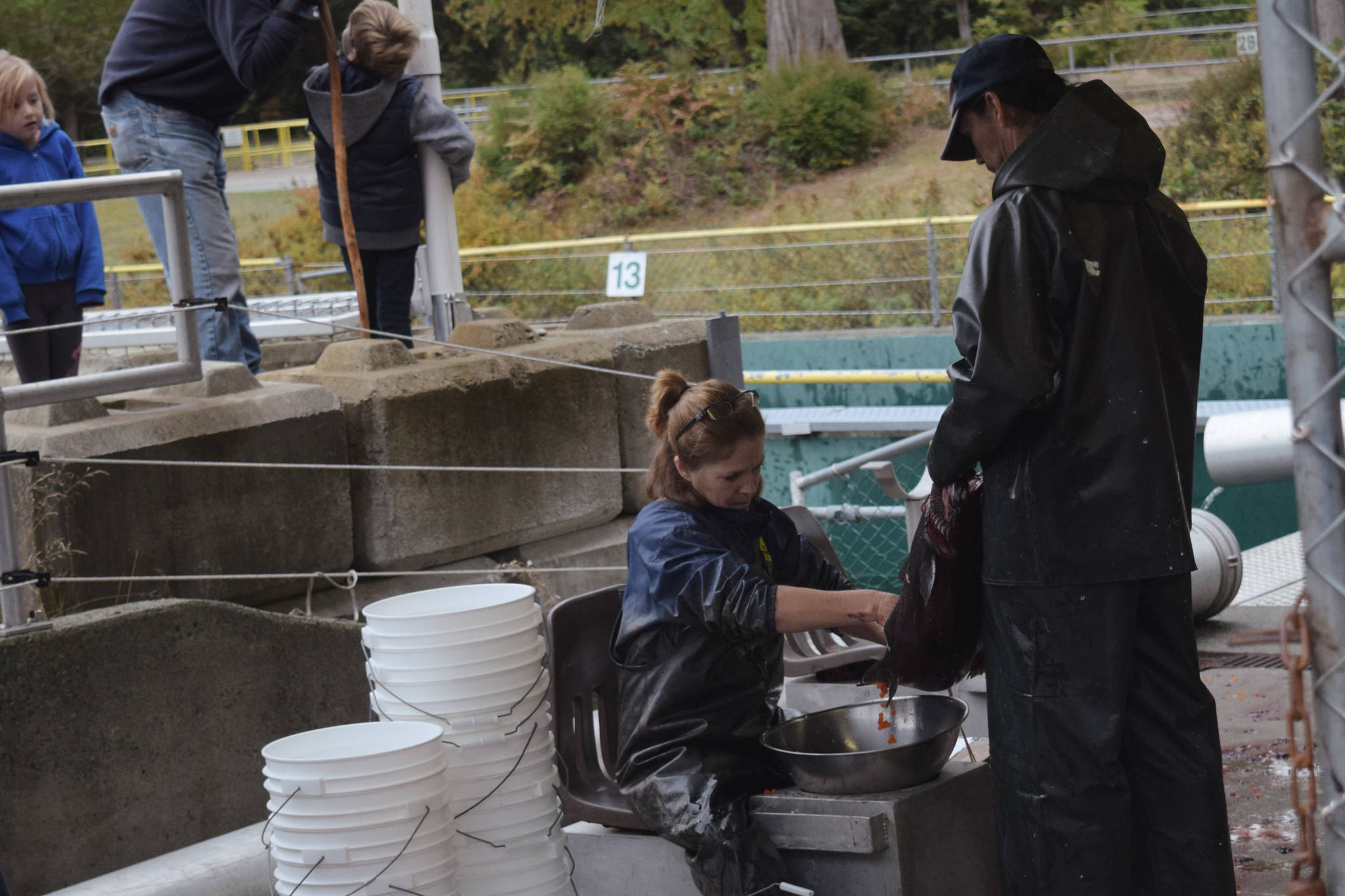 8937198_web1_171019-AVN-FishHatchery_4