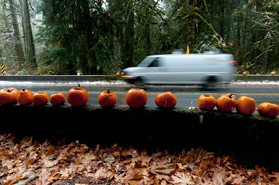 9235979_web1_grove-pumpkins-3-jr-nov2