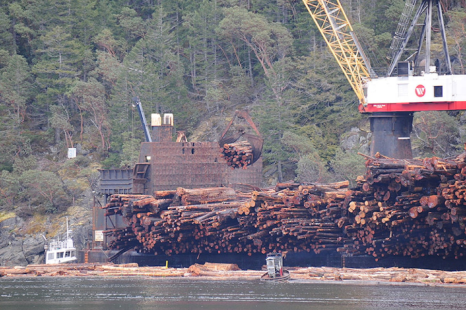 19504379_web1_Logging-ship-file-teaser-16mar19_8104